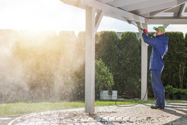 Best Soft Washing  in Little Chute, WI